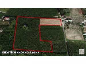 Đất nền đầu tư giá đẹp nhất thị trường BĐS