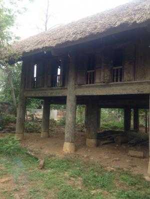 Bán nhà sàn Cổ Đông, Sơn Tây