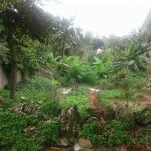 Bán đất biệt thự gần đường Kinh Dương Vương, phường Vũ Ninh, thành Phố Bắc Ninh