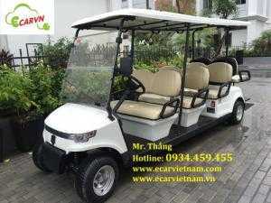 Bán xe điện du lịch 8 chỗ