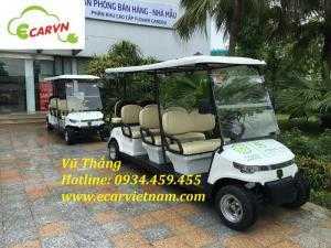 Bán xe điện du lịch 8 chỗ