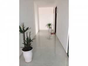 Căn Hộ Cao Cấp View Biển Sơn Trà Giá Chỉ Từ 1,4 Tỷ