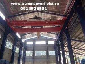 Cầu trục thủy điện  60/10T