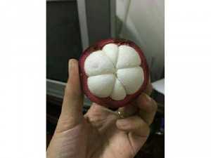Măng cụt