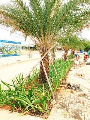 29/07 Mở bán giai đoạn 2 Tăng Long AngKora Park