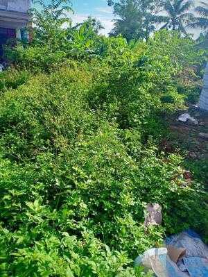 Cần bán nhanh lô đất đẹp Thủy Vân, gần sông Như Ý mát mẻ, trong lành, chỉ 560tr, hướng Nam