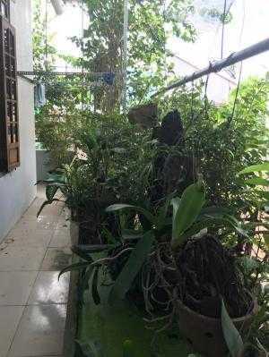 Bán nhà 2 tầng kiệt Điện Biên Phủ, hướng Đông Nam, mặt tiền rộng 9m