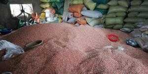 Lạc Nhân Số Lượng Lớn