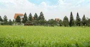 The Phoenix Garden Đan Phượng