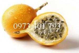 Giống chanh leo ngọt colombia, chanh leo ngọt, cây chanh colombia, chanh leo ngọt, thông tin chanh comlombia