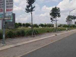 Becamex Mở Bán Đất Nằm Ngay Khu Đô Thị Mới, Dân Cư Đông