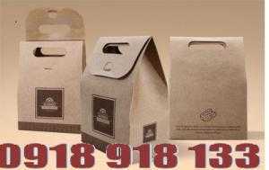 In hộp quà ,túi xách đẹp,giá rẻ,thiết kế miễn phí
