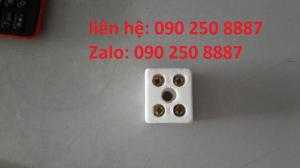 Điện trở sứ domino