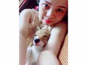 Bé trai Corgi 2 tháng tuổi