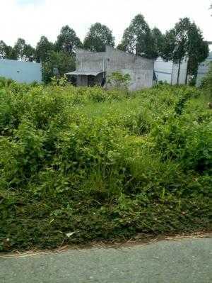 Chính chủ sang lại 1050m2 đất.