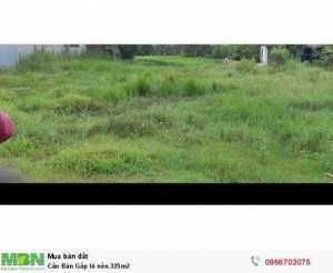 Cần Bán Gấp lô nền 335m2