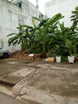 Tôi chính chủ sang 600m2 đất.