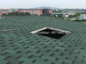 Ngói giả đá tự nhiên nhập khẩu