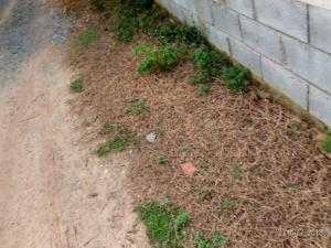 Đất 19m X 33m ,Có 200 M2 Thổ Cư Thuộc Ấp Cây Trâm Xã Phú Hòa Đông ,Củ Chi