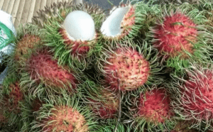 Chôm Chôm Thái nhà trồng Vườn trái cây Long Khánh không thuốc gian hàng thực phẩm sạch