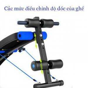 Ghế cong tập bụng FS-08