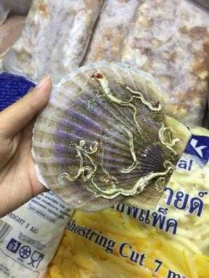 Sò điệp Nhật còn vỏ