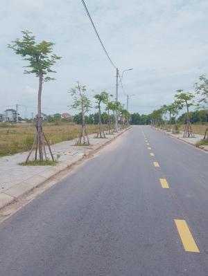 Đất Thủy Dương - Diện tích 150m2, hướng Đông Bắc, hạ tầng hoàn thiện. sổ đỏ chính chủ.