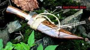 dao mèo đi rừng