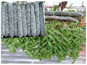 Phân bón đã qua xử lý đóng túi lưới dùng