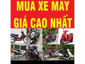 thu mua các loại xe máy củ tận nhà