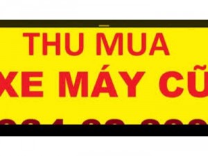 thu mua các loại xe máy củ tận nhà