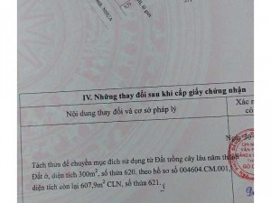Tiện xây nhà trọ hoặc nhà yến,Kho,xưởng