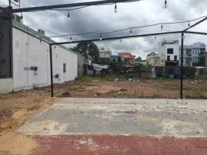 Tôi cần bán nhanh lô đất đường Nguyễn Thị Định 250m2, Quy Nhơn.