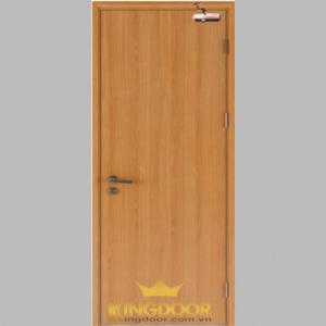 Cửa gỗ chống cháy tại Tp HCM và các tỉnh lân cận