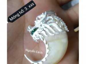 Móng hổ móng báo