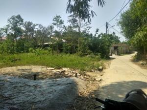 Bán đất khu vực Bàu Vá, Thủy Xuân, Huế