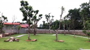 Bán 2.207m2 đất thổ cư xã Cư Yên, huyện Lương Sơn, Hòa Bình