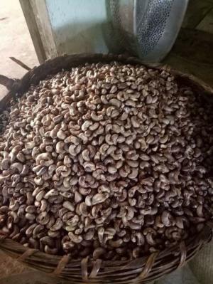 Hạt điều siêu rẻ