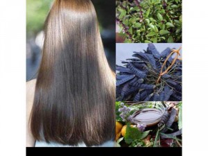 Dầu gội thảo dược