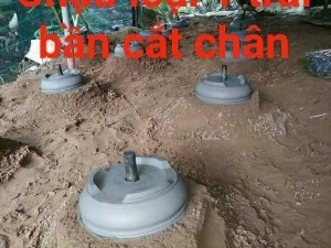 Chuyên bán Dung cụ làm chậu
