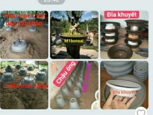 Chuyên bán Dung cụ làm chậu