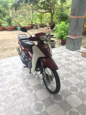 Xipo 120