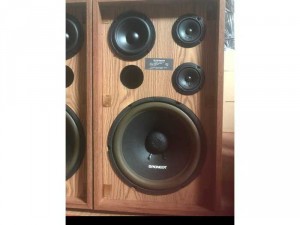 Loa pioner cs 77a