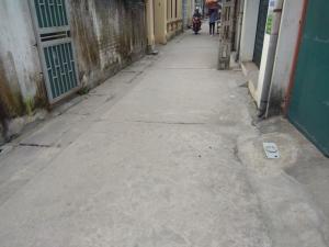 Bị lôi cuốn bởi Căn trọ 101m2 Trâu Quỳ đường ô tô
