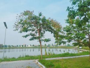 Đất phân Lô liền kề KĐT V- Green City Phố Nối, Hưng Yên, 100m2