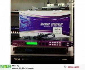 Vang số X6, thiết bị karaoke