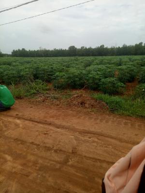 Cần bán gấp đất mặt tiền xã Phước Bình Long Thành