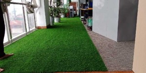 Cỏ nhân tạo giá rẻ