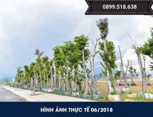 Bán nhanh lô đất Trung tâm Liên Chiểu, Đà Nẵng với giá ưu đãi! Nhanh tay đặt ngay