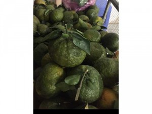 Cam miền Tây